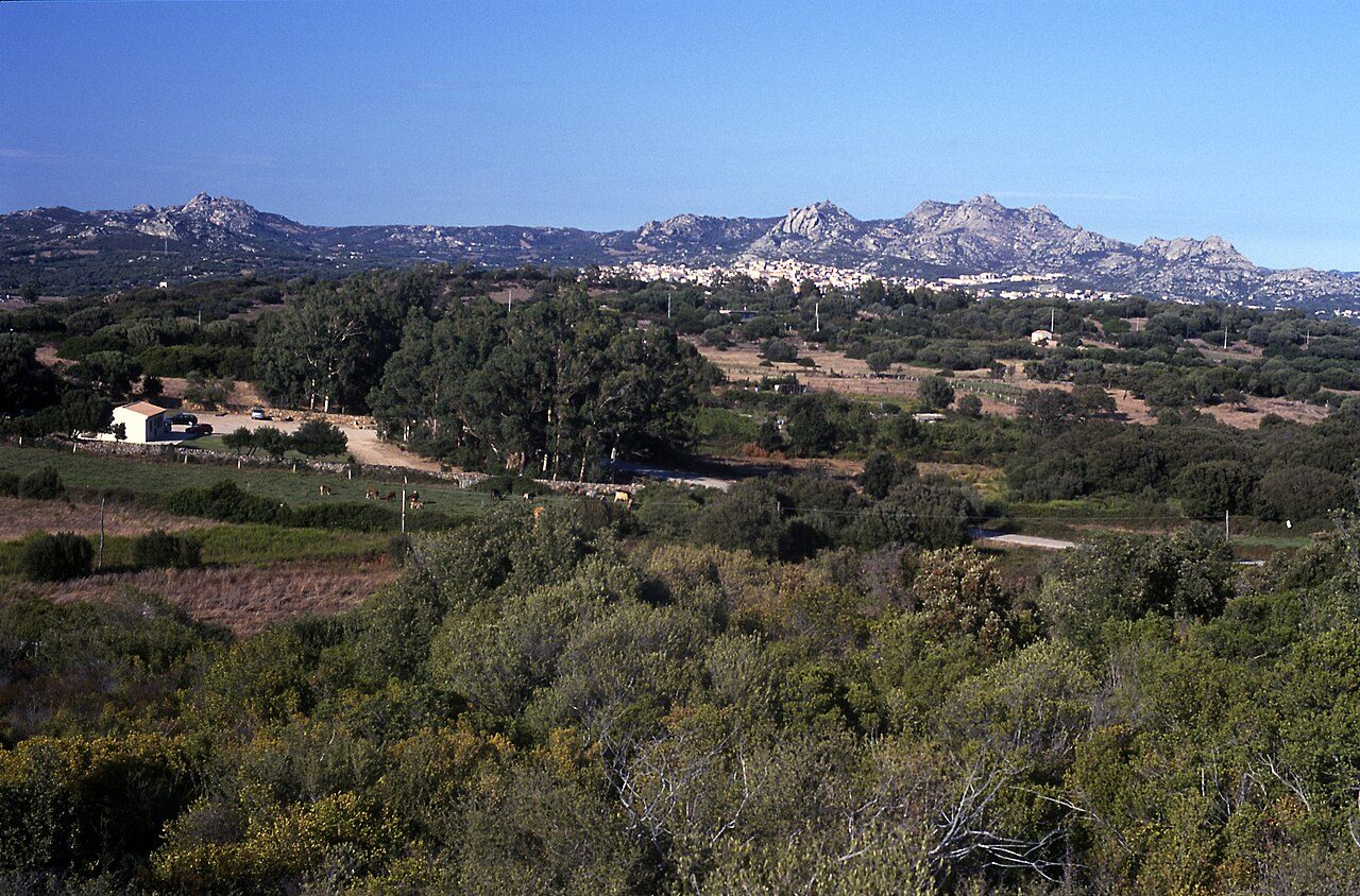 Le guglie di granito e la macchia mediterranea nella campagna di Arzachena