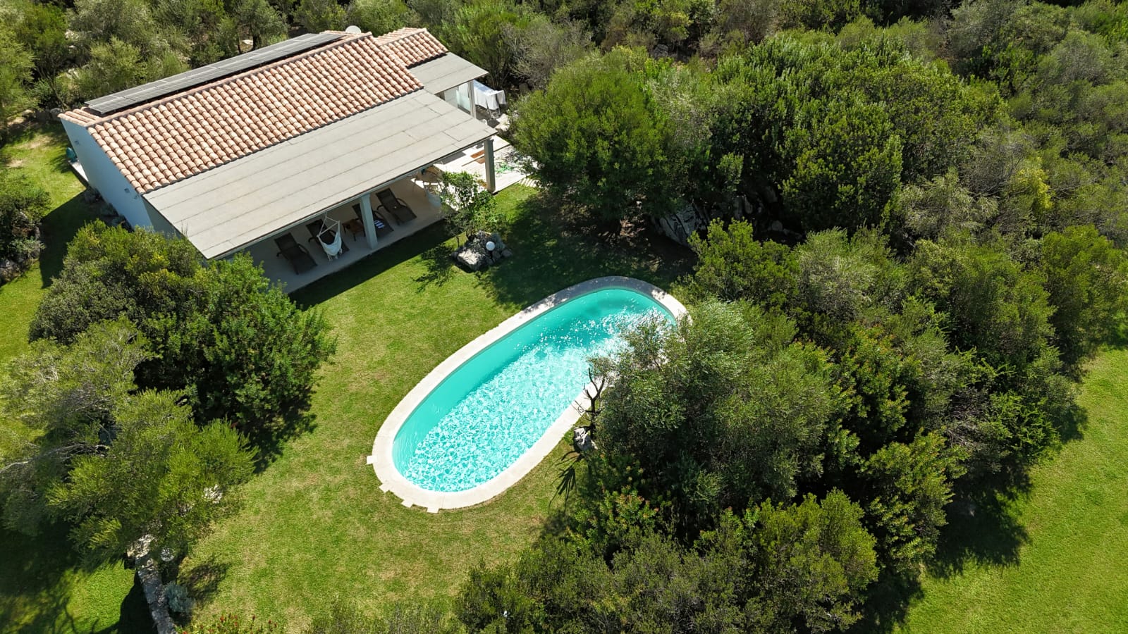 Vista dall'alto: la villa, la piscina e il giardino di olivi